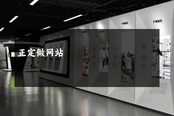 正定做网站