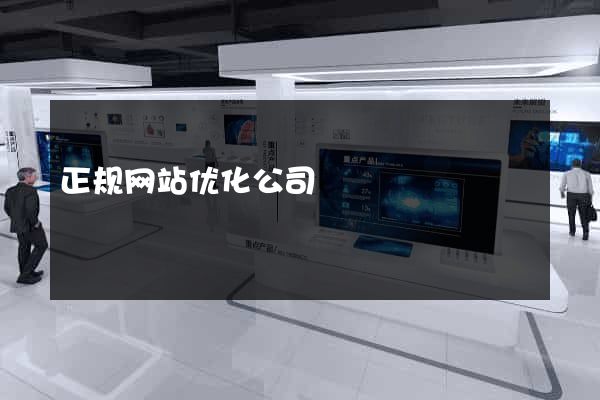 正规网站优化公司