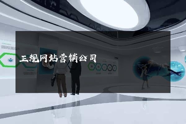 正规网站营销公司