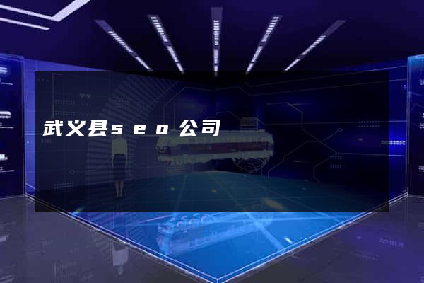 武义县seo公司