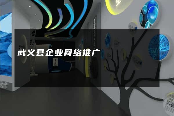 武义县企业网络推广