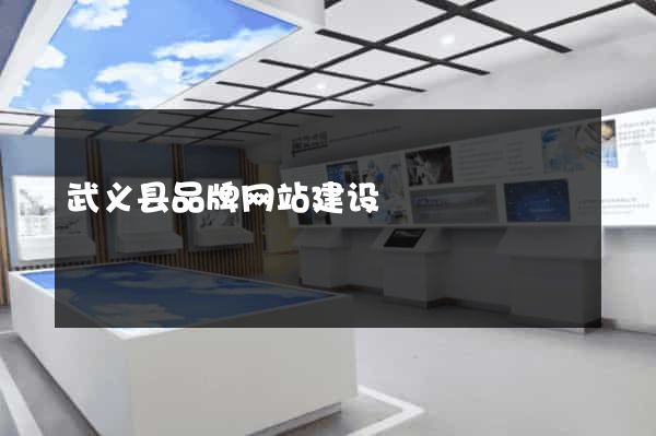 武义县品牌网站建设
