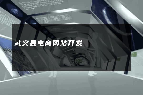武义县电商网站开发