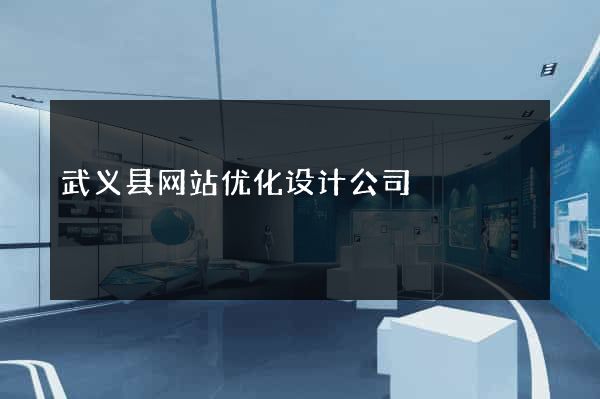 武义县网站优化设计公司