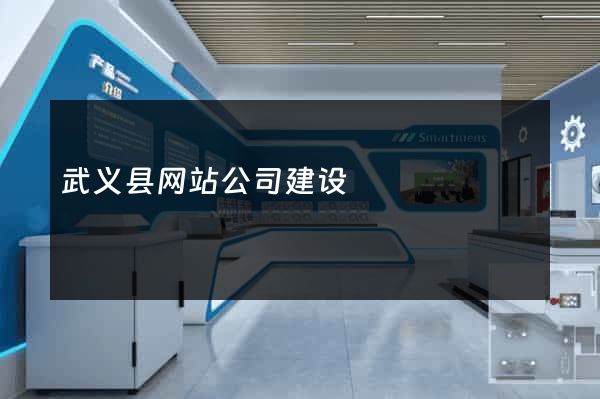 武义县网站公司建设