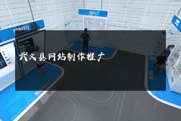 武义县网站制作推广