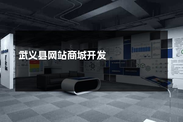 武义县网站商城开发