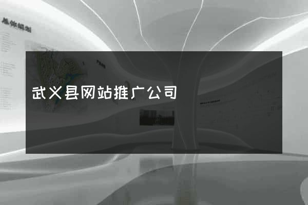 武义县网站推广公司
