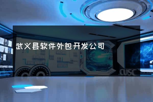武义县软件外包开发公司