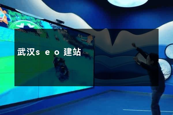 武汉seo建站