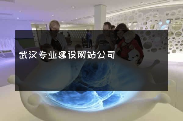 武汉专业建设网站公司