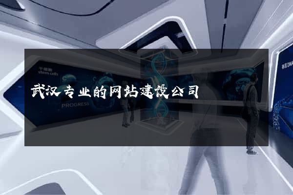 武汉专业的网站建设公司