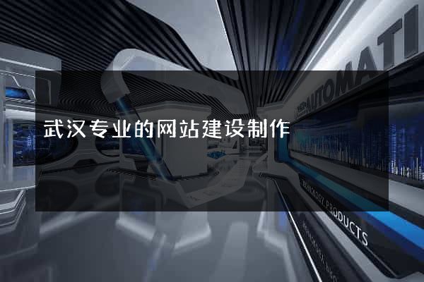 武汉专业的网站建设制作
