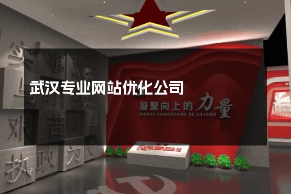 武汉专业网站优化公司