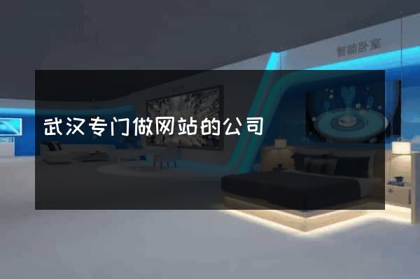 武汉专门做网站的公司