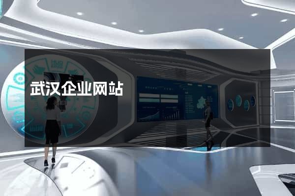 武汉企业网站