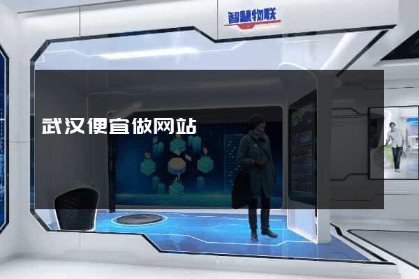 武汉便宜做网站
