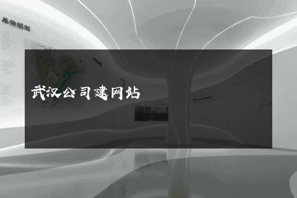 武汉公司建网站