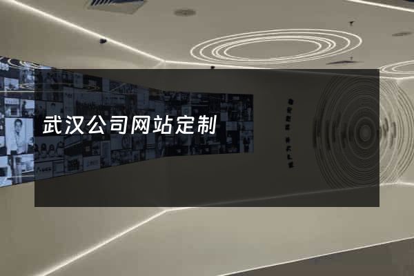 武汉公司网站定制