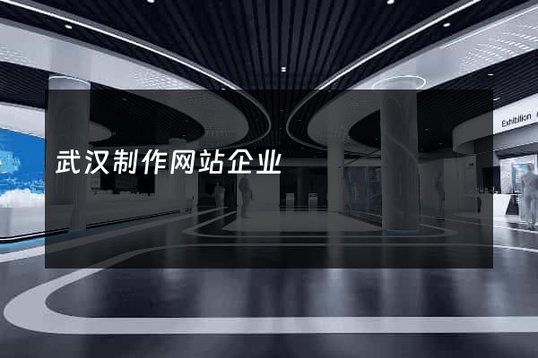 武汉制作网站企业