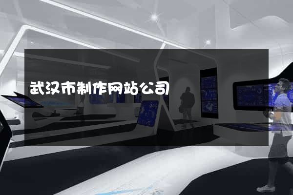 武汉市制作网站公司