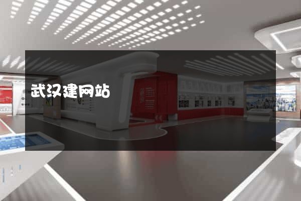 武汉建网站