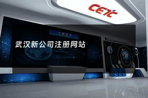 武汉新公司注册网站