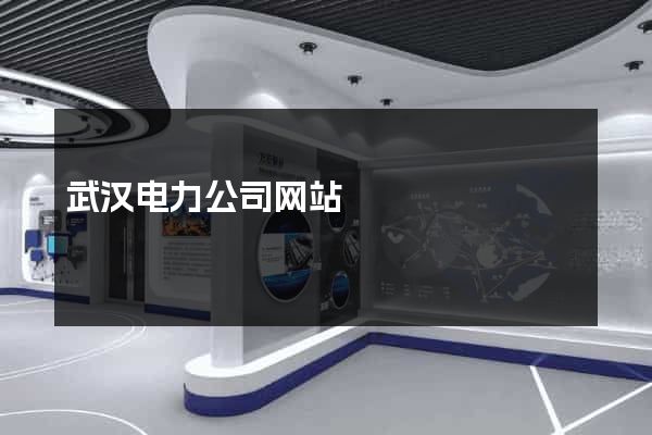 武汉电力公司网站