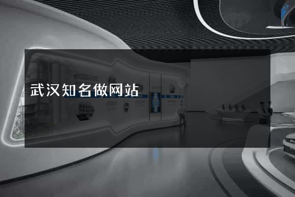 武汉知名做网站