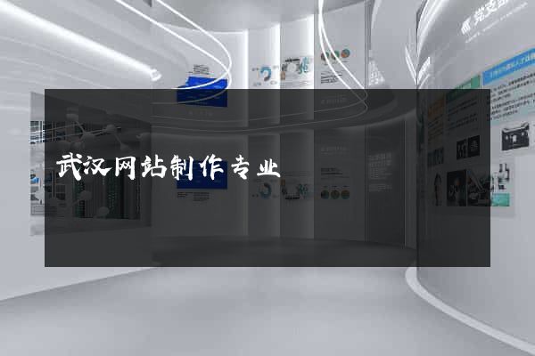 武汉网站制作专业