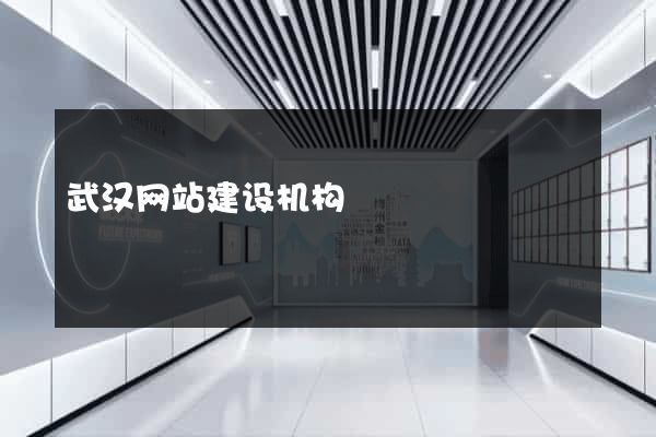 武汉网站建设机构