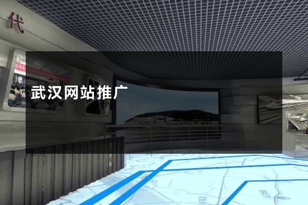 武汉网站推广