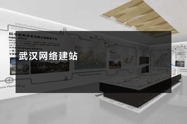 武汉网络建站