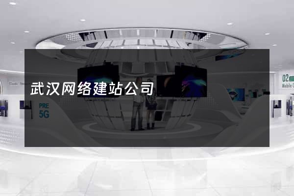 武汉网络建站公司