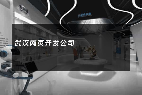 武汉网页开发公司