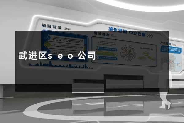 武进区seo公司