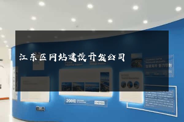 江东区网站建设开发公司