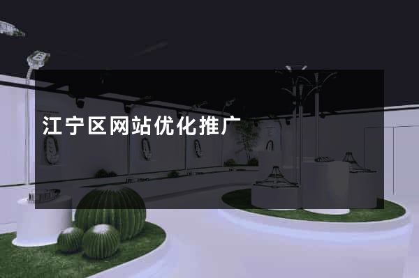 江宁区网站优化推广