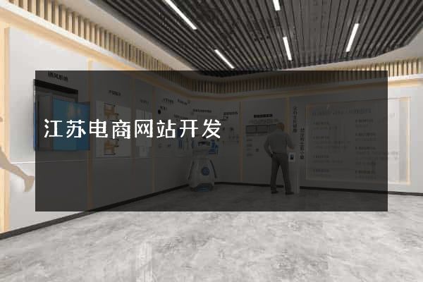 江苏电商网站开发