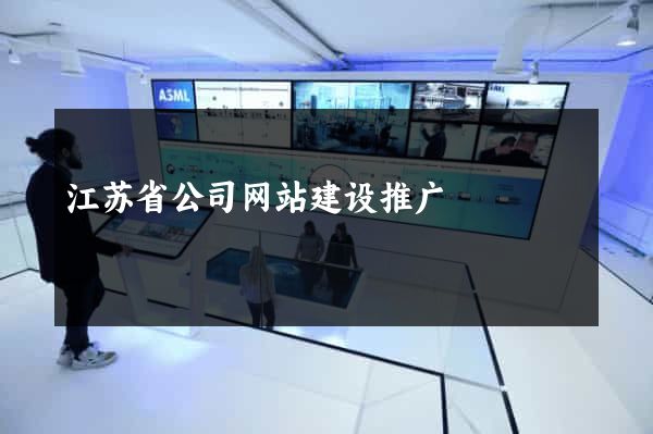 江苏省公司网站建设推广
