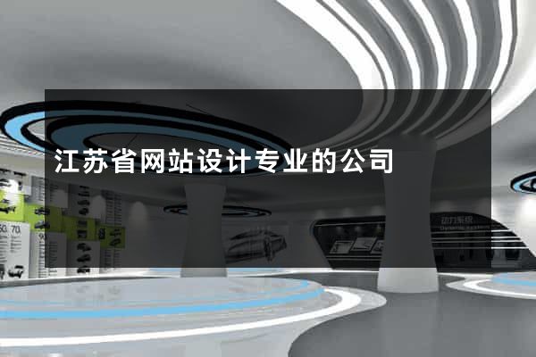 江苏省网站设计专业的公司