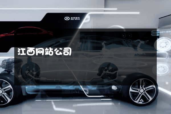 江西网站公司