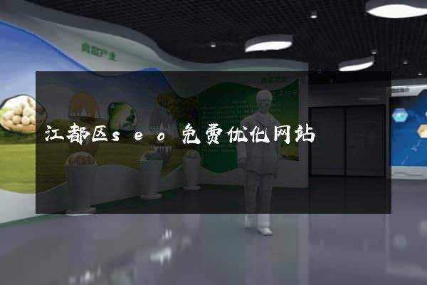 江都区seo免费优化网站