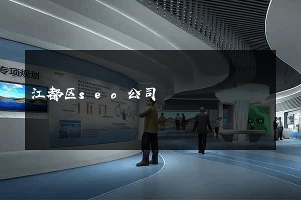 江都区seo公司