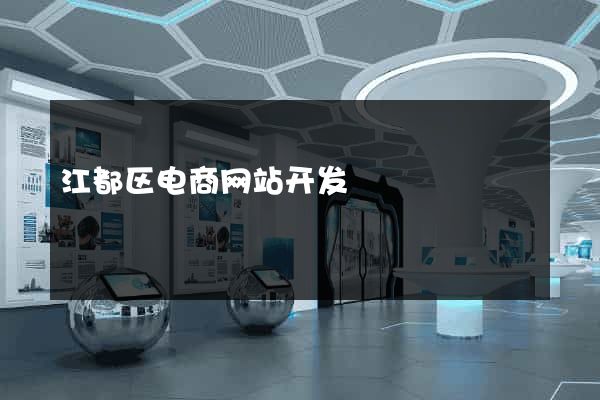 江都区电商网站开发