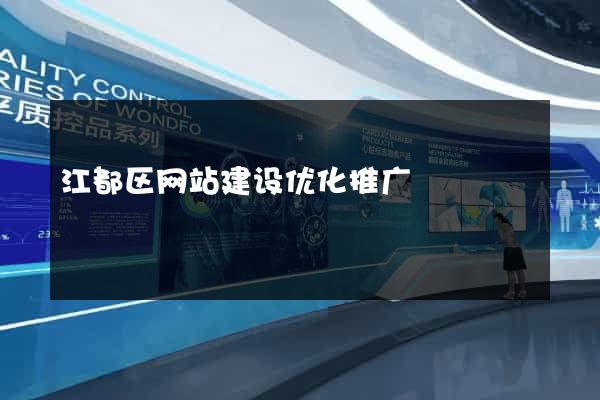 江都区网站建设优化推广