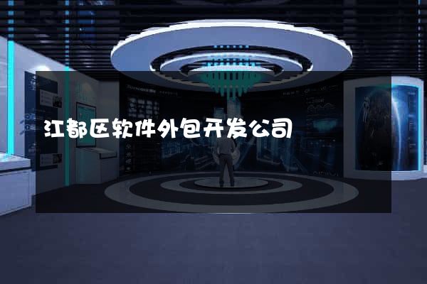 江都区软件外包开发公司