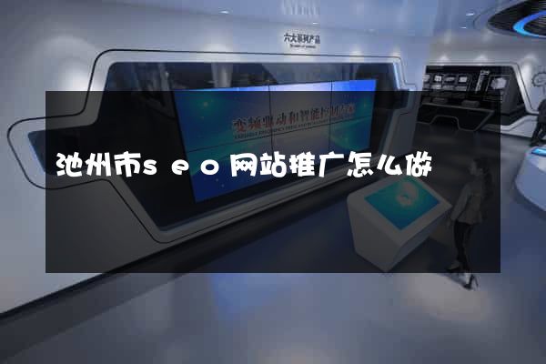 池州市seo网站推广怎么做