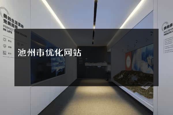 池州市优化网站