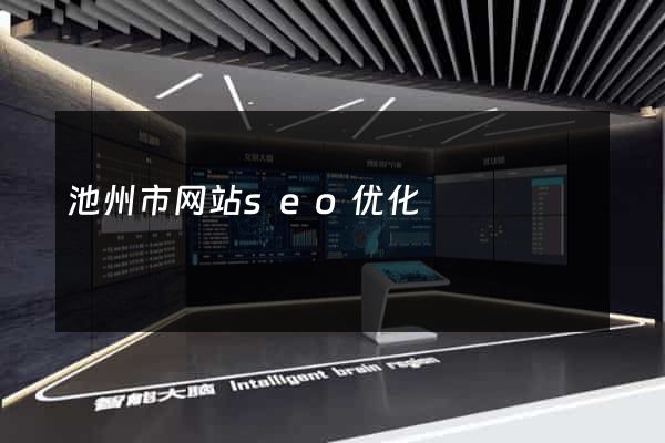 池州市网站seo优化